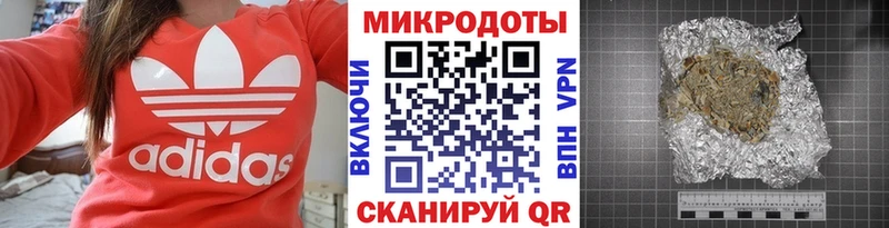 Галлюциногенные грибы Psilocybe  где продают наркотики  Махачкала 