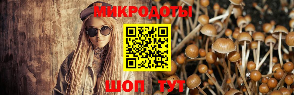Псилоцибиновые грибы Magic Shrooms Махачкала