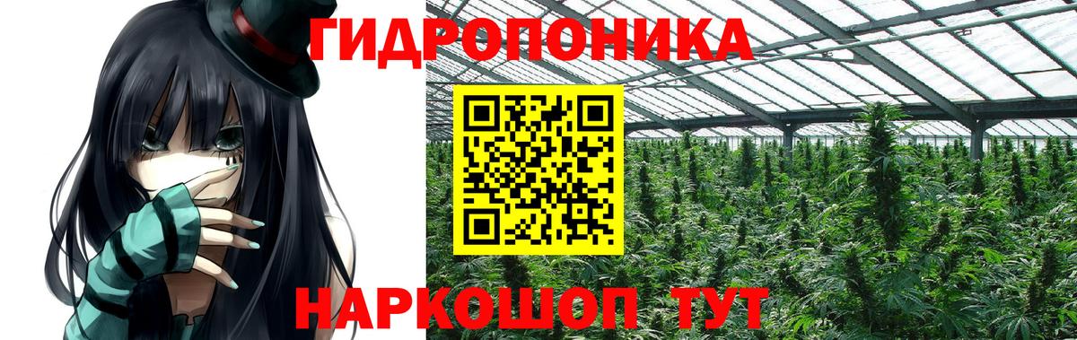 Махачкала  Канабис сатива  Конопля White Widow  Вход с VPN 